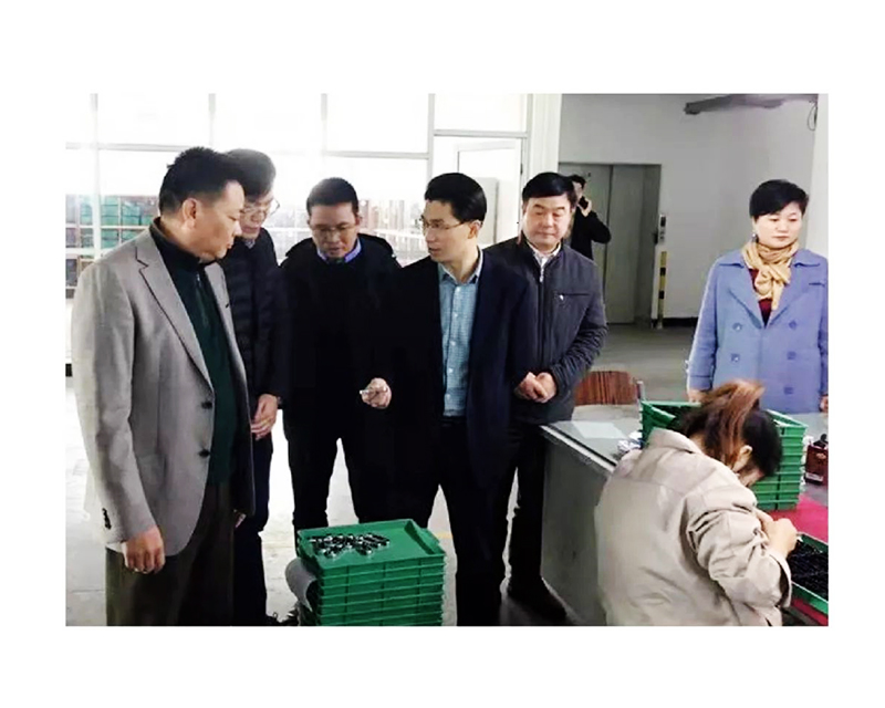 江西新干縣縣長曾亮蒞臨我司考察